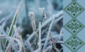 0200i6i6-2b51-499x308.jpg