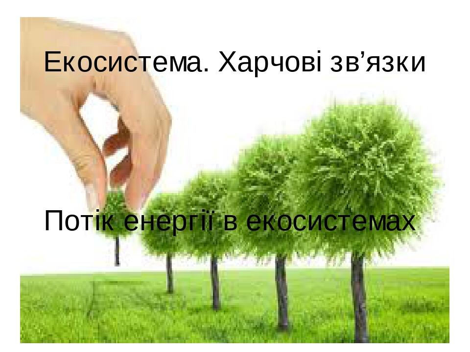 Эко болашақ презентация