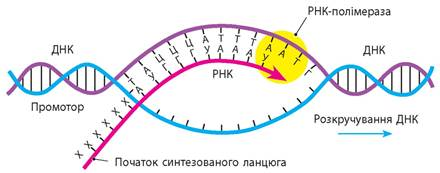 0200iah2-0f16.png