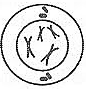 0200iami-5ad3-132x137.png