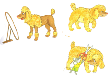 0200ibec-9792-428x295.png