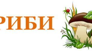 Гриби