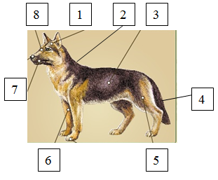 0200idxp-9c23.png