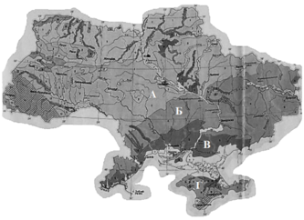 0200ie48-904a-333x242.png
