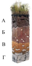 0200ie69-d06d-106x220.png