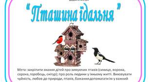 Дидактична гра "Пташина їдальня"