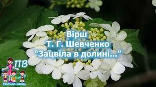 Аудіовірш Т.Г. Шевченка "Зацвіла в долині червона калина" (для дошкільнят 4-6 років)