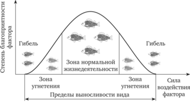 0200ihw0-9f76-378x204.png