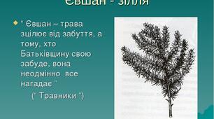Тест до твору Надії Киріян «Євшан»