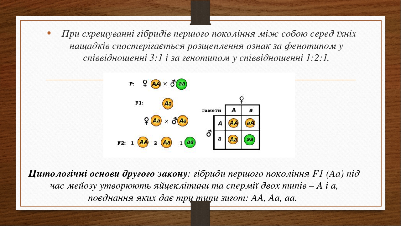 Определите какую генетическую закономерность иллюстрирует данная схема р аа х аа