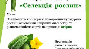 Презентація на тему "Селекція рослин. Огірки"