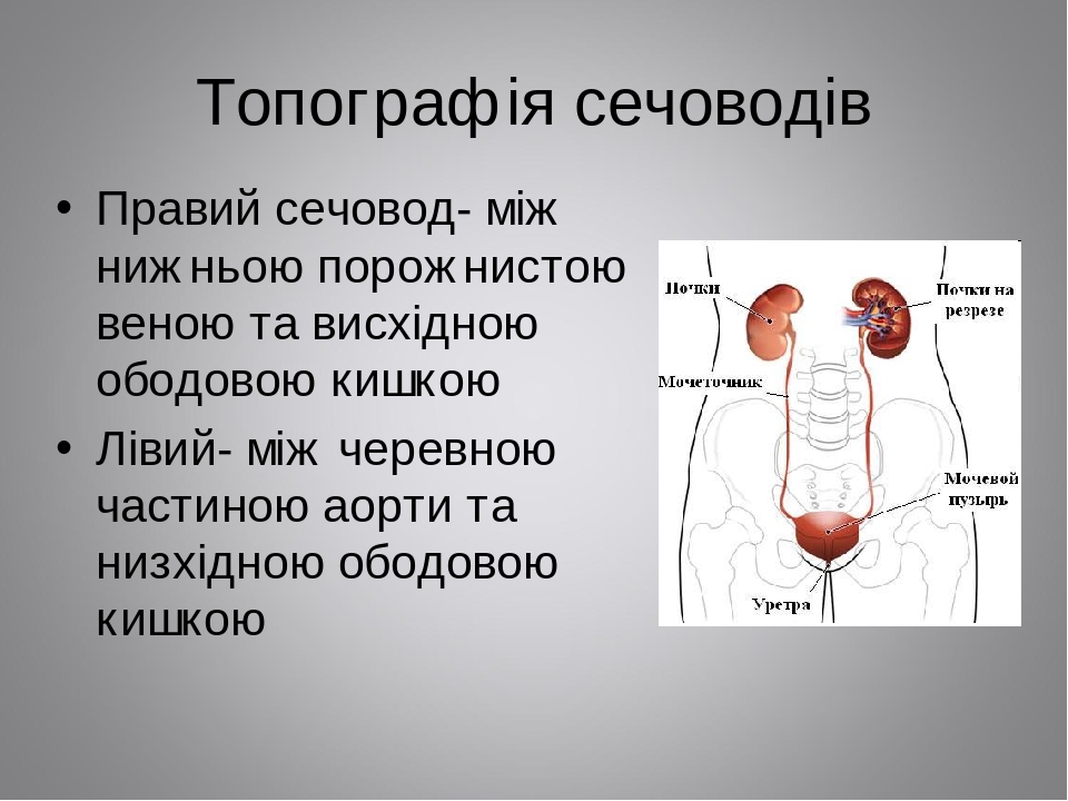 Картинки изрезаны вены