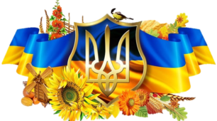 Бібліотечний урок "День Соборності України"