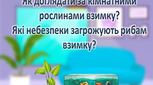 Презентація " Як доглядати за кімнатними рослинами взимку? Які небезпеки  загрожують рибам взимку? "