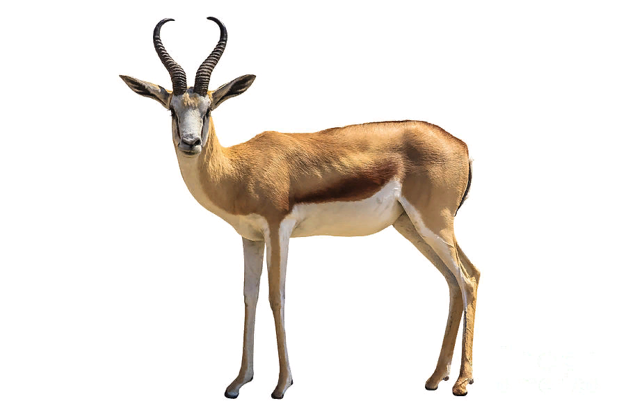 0200iqhe-5010.png