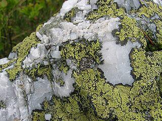 0200iswy-6ed3-320x240.jpg