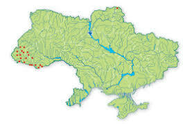 0200isy4-5319-359x231.jpg