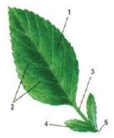 0200it0d-4099-162x196.png