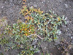 0200it1y-f5b4-258x194.jpg