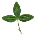 0200it7q-d681-122x128.png