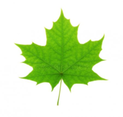 0200it9h-13a5-179x170.png
