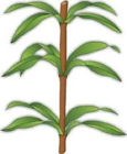 0200iu6y-9643-115x140.png