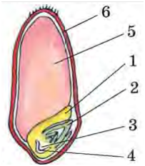 0200iue1-d5fc-272x312.png