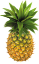 0200iumw-c01d-79x130.png