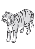 0200ivk9-8617-118x167.png