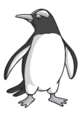 0200ivmp-7776-80x114.png