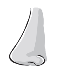 0200ivn4-1317.png