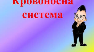 Кровоносна система