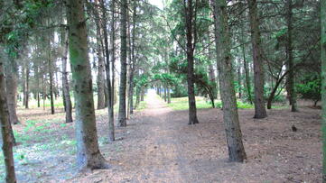 0200ix25-1e96-361x203.jpg