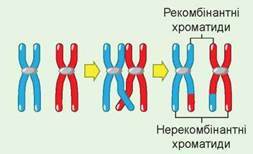 0200iy75-0b1d.jpg