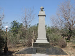 0200izwr-dd48-253x190.jpg