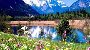 (Копія) Nature and weather