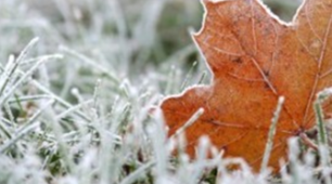 TEST IN VOCABULARY (weather. winter activities)
