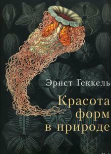 0200j5ou-4629-329x456.jpg
