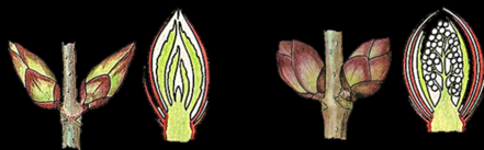 0200j60t-8ca4.png