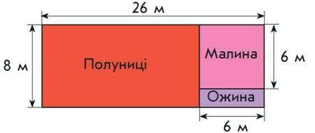 0200j72g-429c.jpg