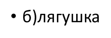 0200j7oq-b92a.png