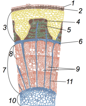 0200j91r-0b44-284x350.png