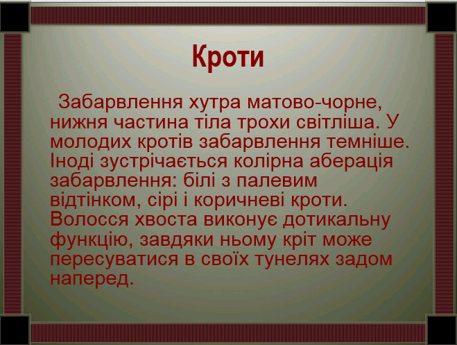0200jbey-0a30-659x497.png