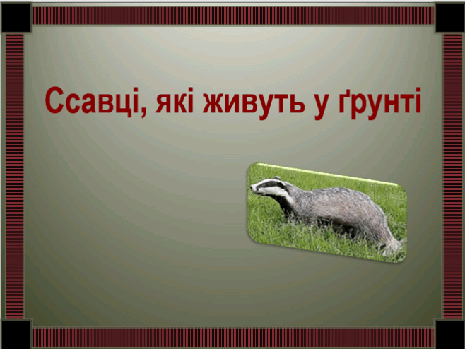 0200jbez-0e24-658x494.png