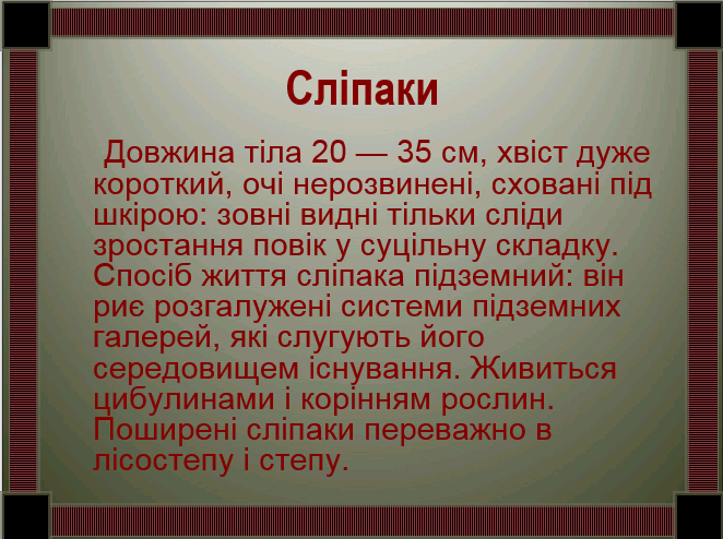 0200jbf4-78c3-662x494.png