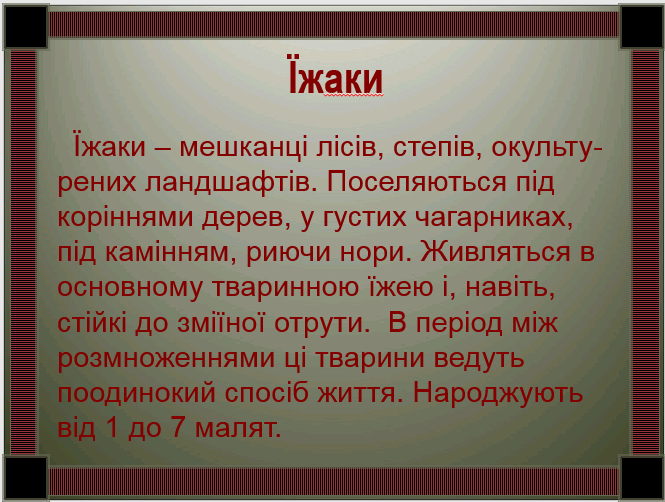 0200jbfd-daec-666x503.png