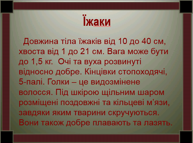 0200jbff-1906-663x494.png