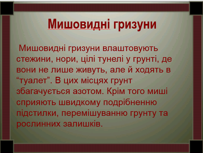 0200jbfj-2379-660x498.png