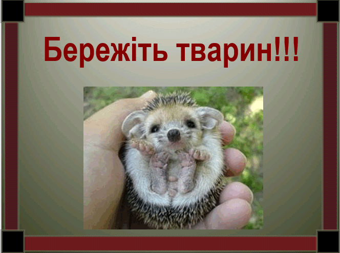 0200jbfm-791e-664x494.png