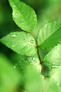 0200jfq9-9a80-61x92.jpg